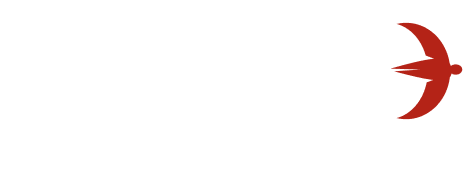 Logo ICARO